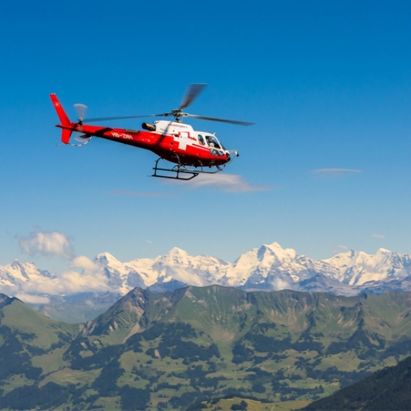 Grosser Lenker Alpenflug
